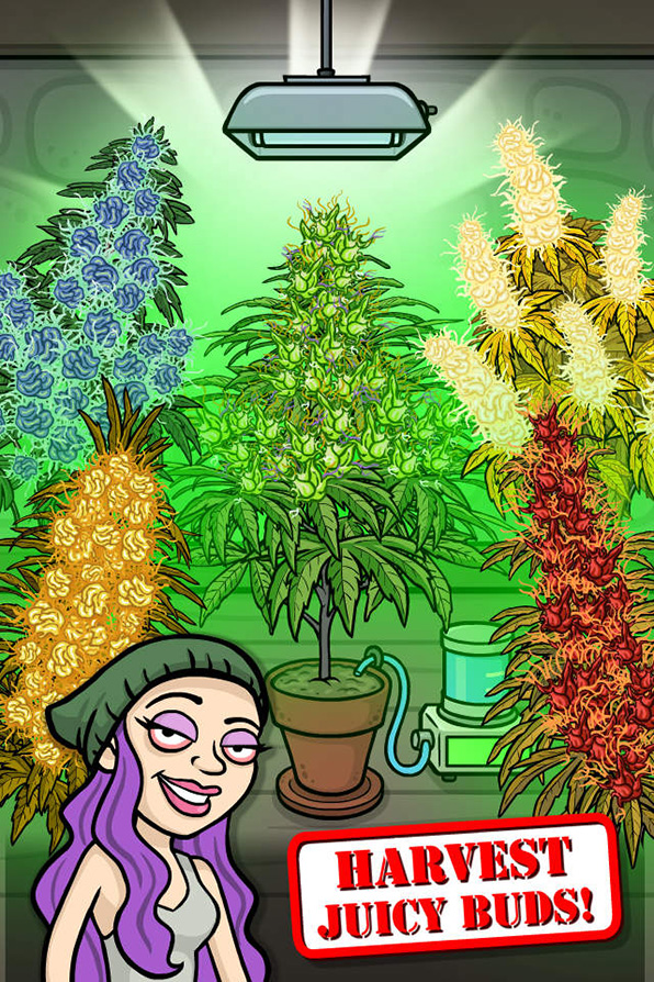 Bud Farm: Grass Roots
